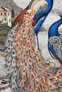 Brightly Colored Peacocks by the Sea Mosaic close-up