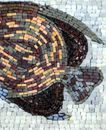 Marine Angelfish Mosaic close-up