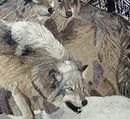 Wolf Pack in Snow Arched Mosaic крупным планом