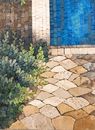 Garden With A Blue Door Mosaic close-up