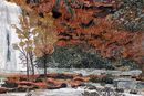 Autumn Woodland Mosaic close-up