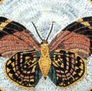 Brown Butterfly Mosaic, 24" close-up
