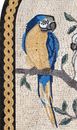 Mosaik Papageienvögel auf einem Ast Zoom