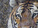 Tiger Bengalisch Mosaik Zoom