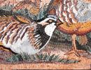 Partridge Mosaic close-up