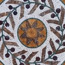 Растения Мозаика крупным планом