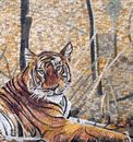 Тигр в осеннем лесу, мозаика крупным планом
