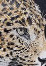 Leopard Portrait Mosaic крупным планом