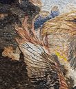 Bird of Prey Double Exposure Mosaic close-up