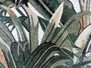 Oasis Palm Mosaic close-up