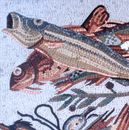 Рыбы, утки, мозаика крупным планом