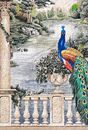 Peacock on Water’s Edge Mosaic close-up