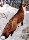 Fox in Snow Mosaic close-up