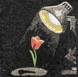 Rose in a Spotlight Mosaic