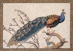 Two Peacocks Greek Key Border Mosaic