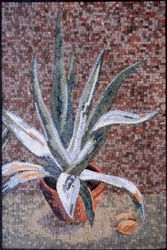 Kaktus Mosaik