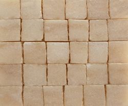 Rosa Bellissimo Light