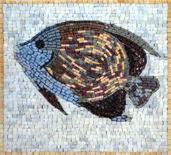Marine Angelfish Mosaic
