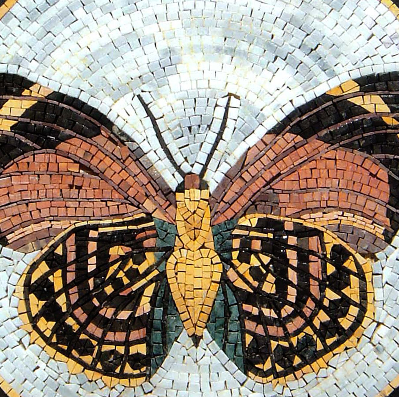 Brown Butterfly Mosaic | Mosaic Natural