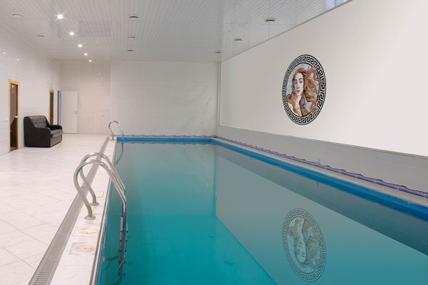 Portrait of Venus Medallion Mosaic, 36" Installed