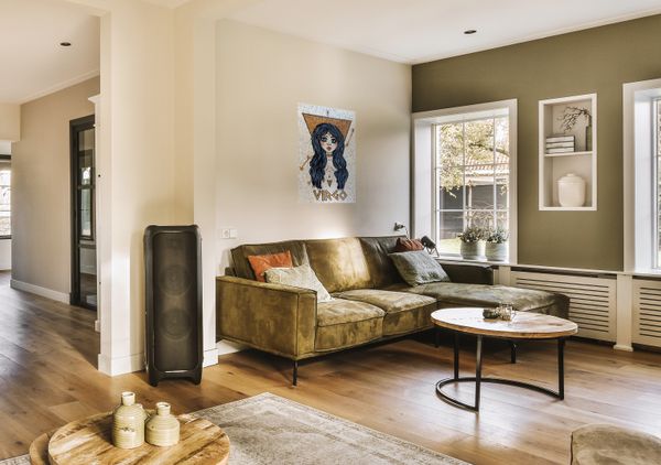 Virgo Zodiac Mosaic Установлена